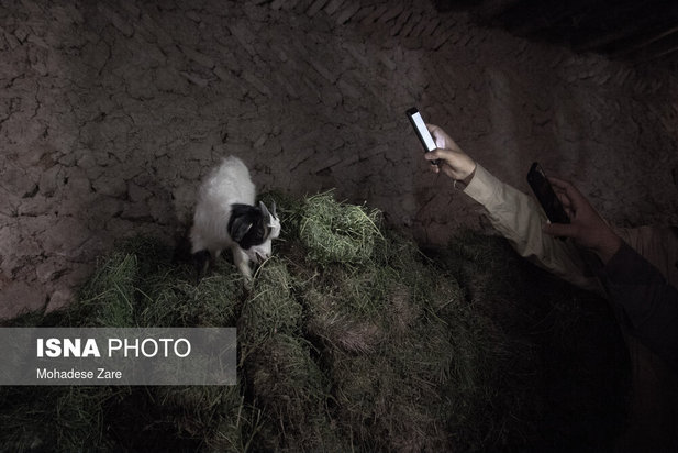 خشکسالی در روستای کلاته عرب ها