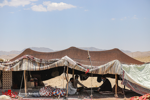 در جستجوی آب