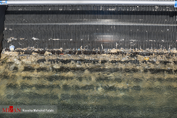 در جستجوی آب