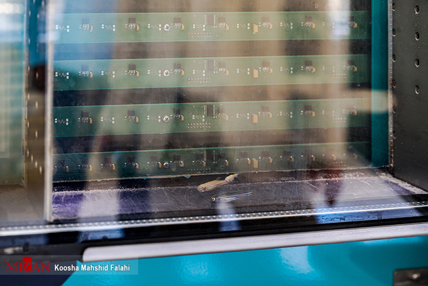 در جستجوی آب