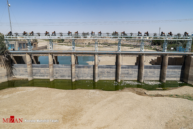 در جستجوی آب