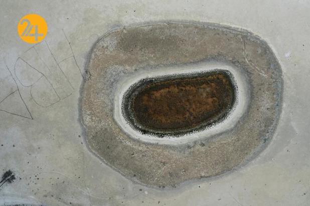 خشکسالی بی سابقه در کالیفرنیا