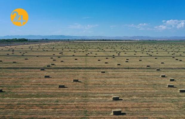 خشکسالی بی سابقه در کالیفرنیا