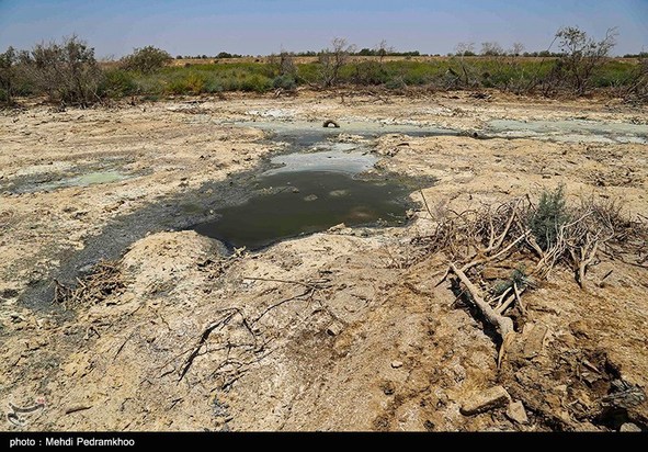 مرگ تدریجی حیات وحش در هورالعظیم