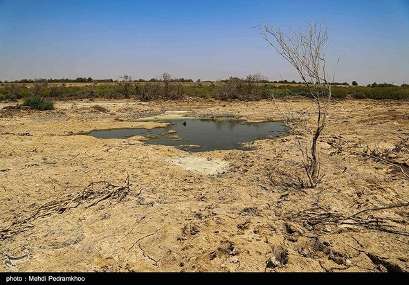مرگ تدریجی حیات وحش در هورالعظیم