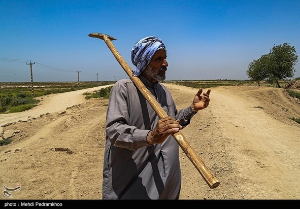 مرگ تدریجی حیات وحش در هورالعظیم