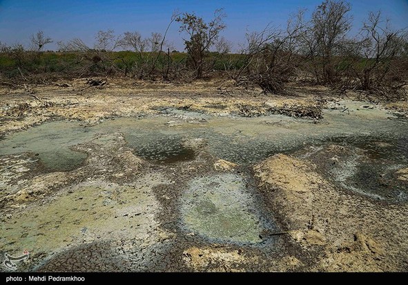مرگ تدریجی حیات وحش در هورالعظیم