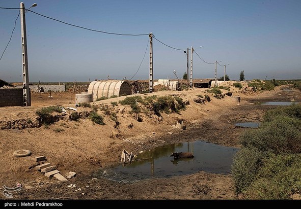 مرگ تدریجی حیات وحش در هورالعظیم