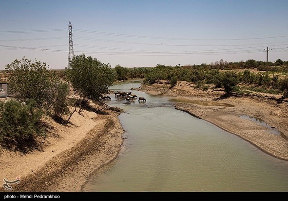 مرگ تدریجی حیات وحش در هورالعظیم