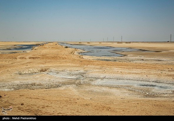 مرگ تدریجی حیات وحش در هورالعظیم