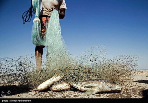 مرگ تدریجی حیات وحش در هورالعظیم