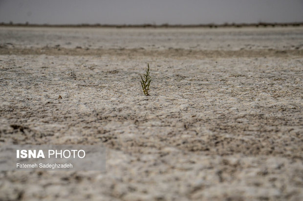 تالاب گاوخونی در روزگار خشکی