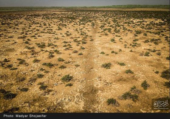 تالاب شادگان