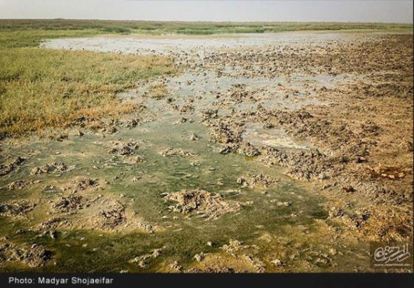 تالاب شادگان