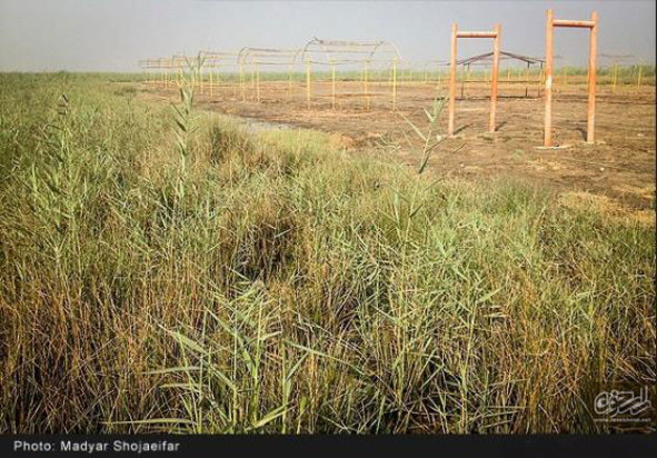 تالاب شادگان