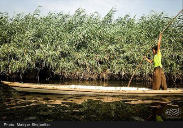 تالاب شادگان