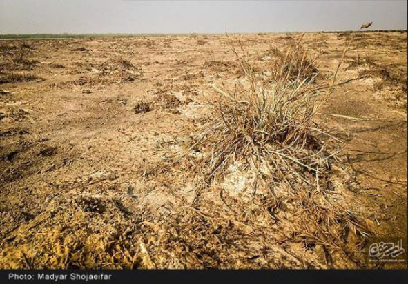 تالاب شادگان