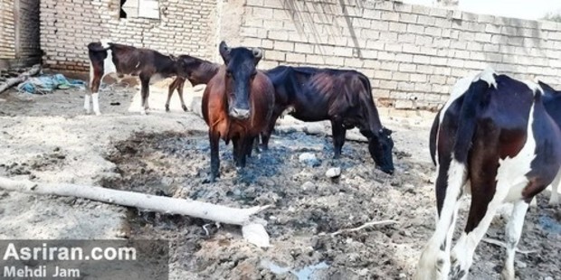 اعتراضات مردمی در خوزستان