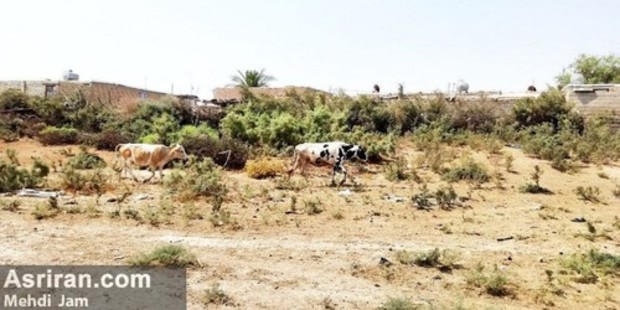 اعتراضات مردمی در خوزستان