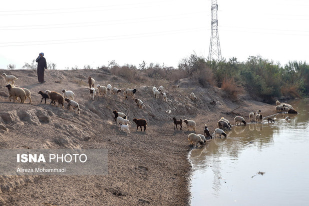 رهاسازی آب سد کرخه