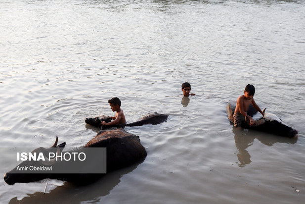 رهاسازی آب سد کرخه