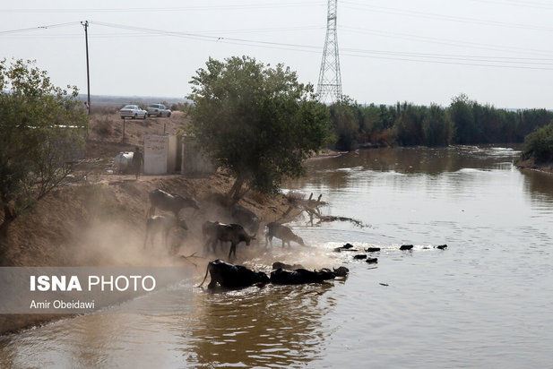 رهاسازی آب سد کرخه