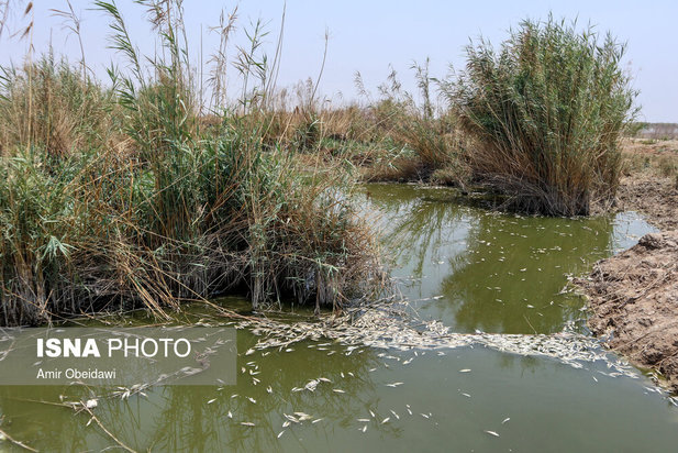 رهاسازی آب سد کرخه
