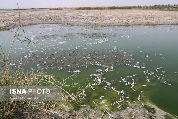 رهاسازی آب سد کرخه