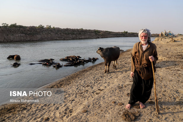 رهاسازی آب سد کرخه