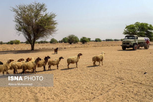 رهاسازی آب سد کرخه