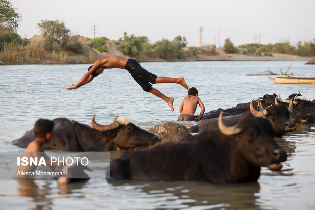رهاسازی آب سد کرخه