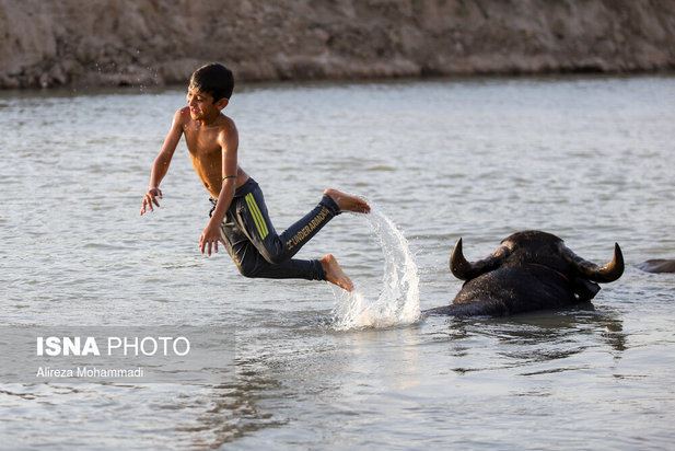 رهاسازی آب سد کرخه