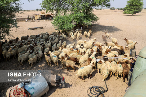 رهاسازی آب سد کرخه