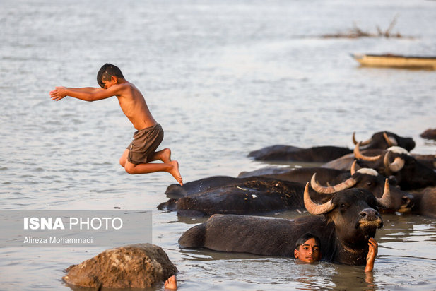 رهاسازی آب سد کرخه