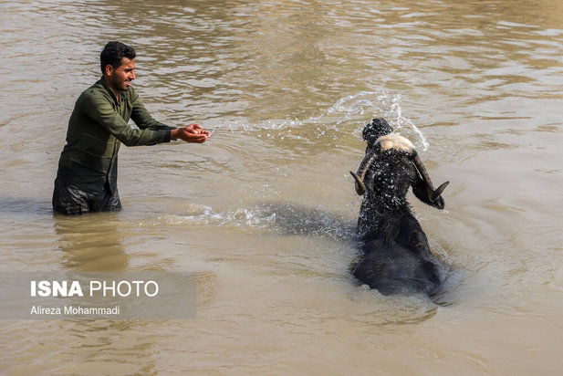 رهاسازی آب سد کرخه
