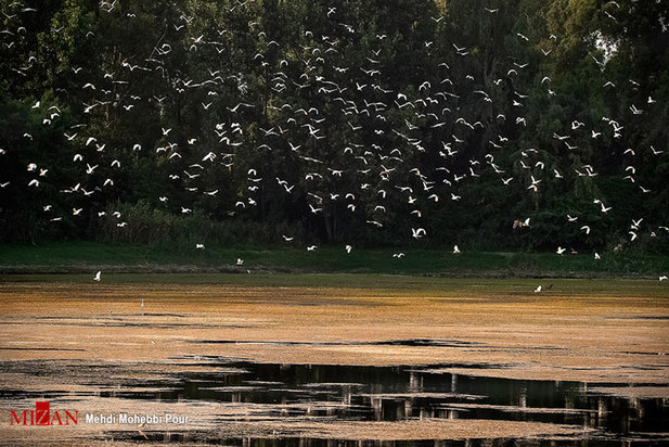 خشکسالی در کمین مازندران