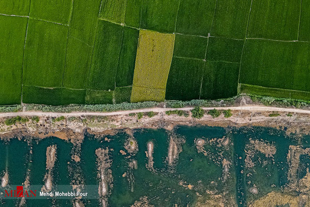 خشکسالی در کمین مازندران