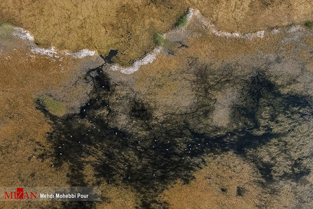 خشکسالی در کمین مازندران