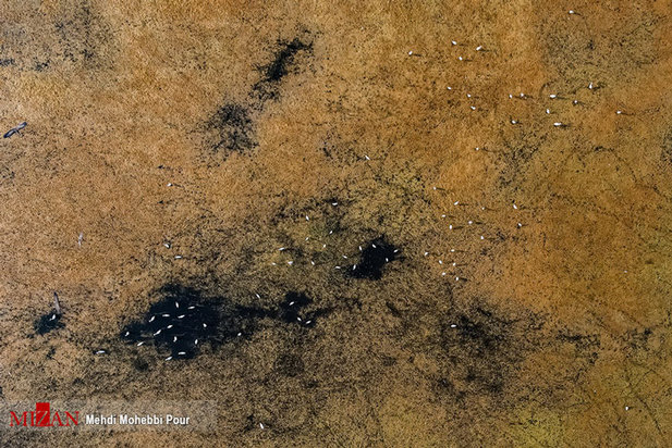 خشکسالی در کمین مازندران