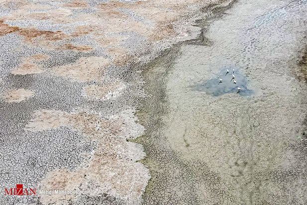 خشکسالی در کمین مازندران