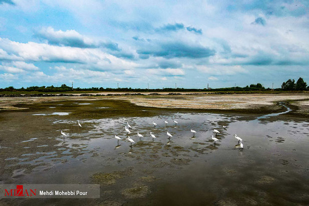 خشکسالی در کمین مازندران