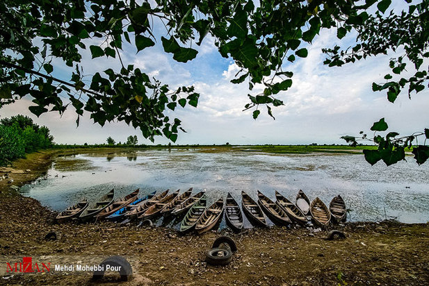 خشکسالی در کمین مازندران