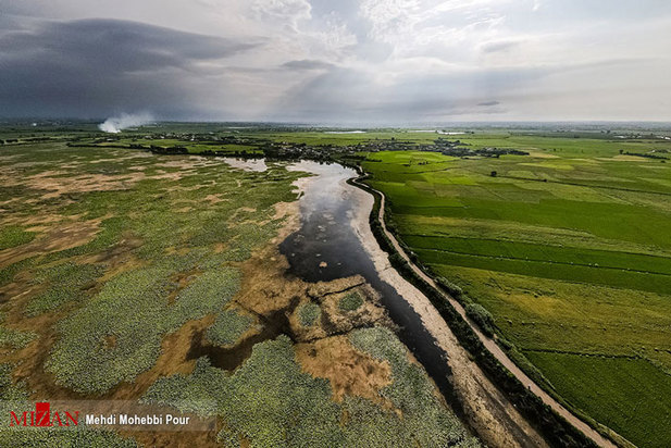 خشکسالی در کمین مازندران
