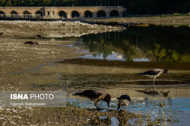 زاینده‌رود دوباره بی‌آب شد