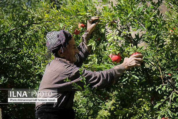 «منظر فرهنگی اورامانات» در فهرست میراث جهانی