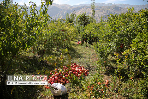 «منظر فرهنگی اورامانات» در فهرست میراث جهانی