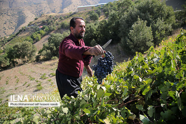 «منظر فرهنگی اورامانات» در فهرست میراث جهانی