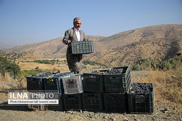 «منظر فرهنگی اورامانات» در فهرست میراث جهانی