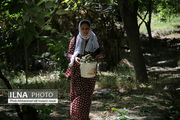 «منظر فرهنگی اورامانات» در فهرست میراث جهانی