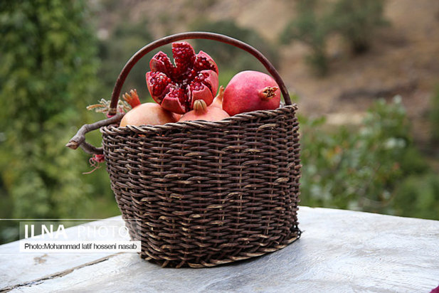 «منظر فرهنگی اورامانات» در فهرست میراث جهانی